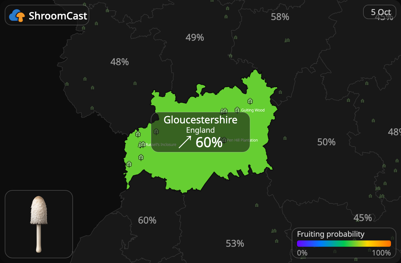 Geschubde inktzwam Gloucestershire