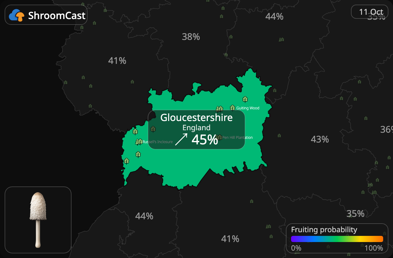 Barbuda Gloucestershire