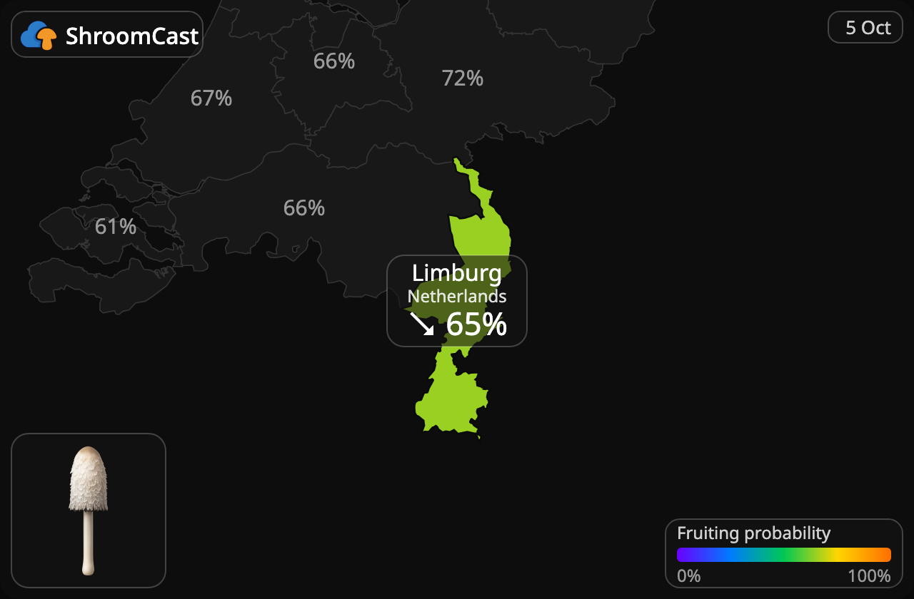 Geschubde inktzwam Limburg