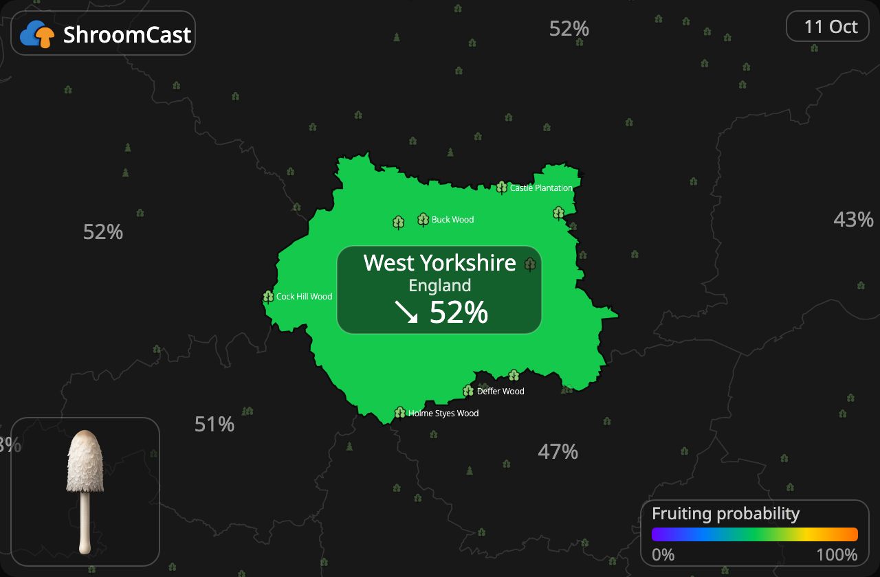 Barbuda West Yorkshire