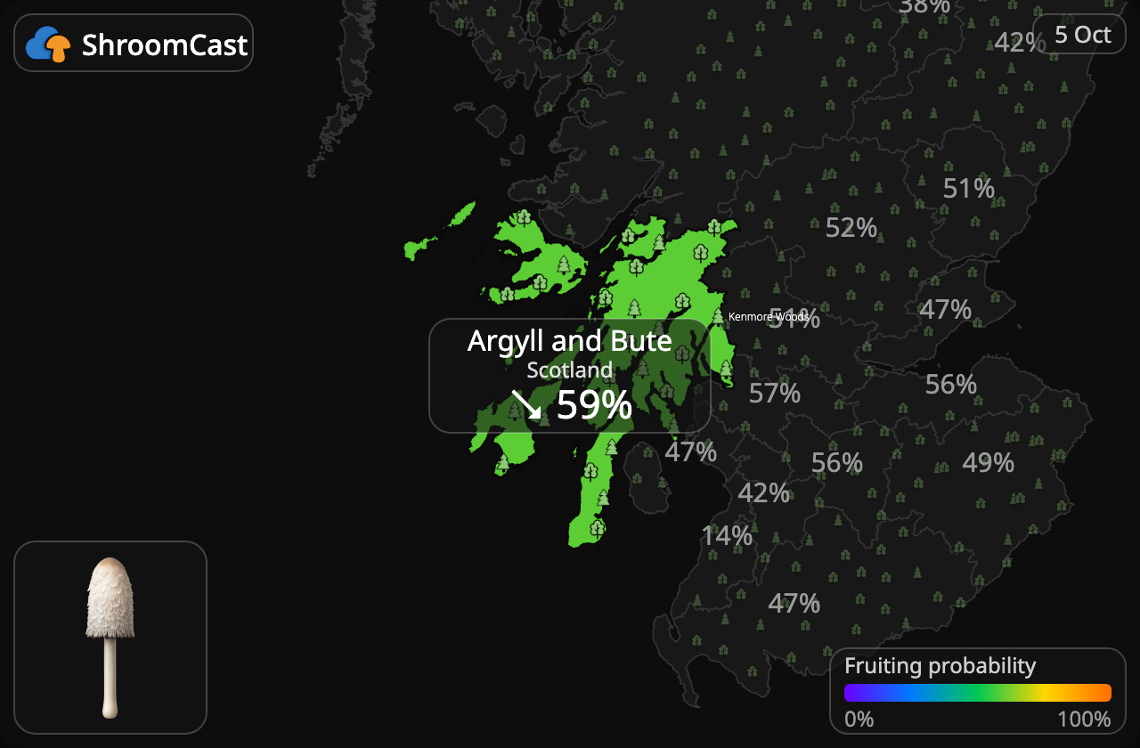 Suomumustesieni Argyll and Bute