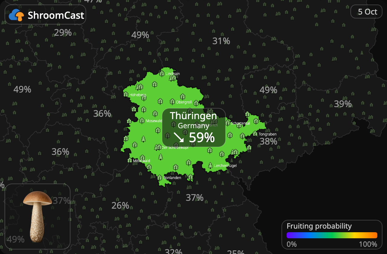 Lehmäntatti Thüringen