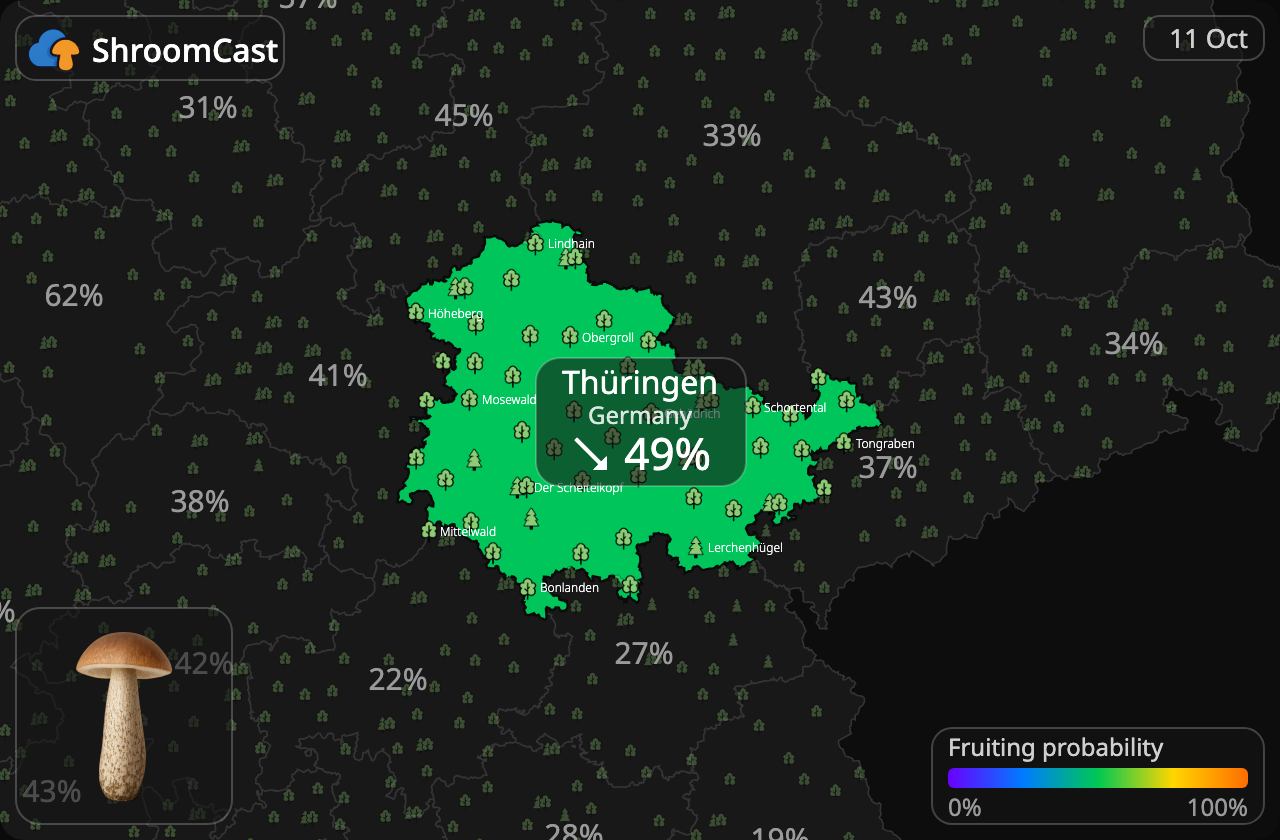Boleto de abedul Thüringen