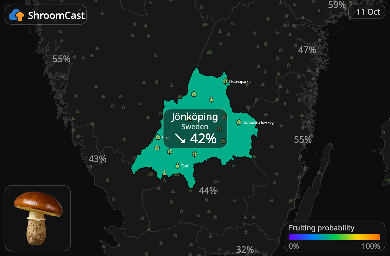 Boleto anillado Jönköping