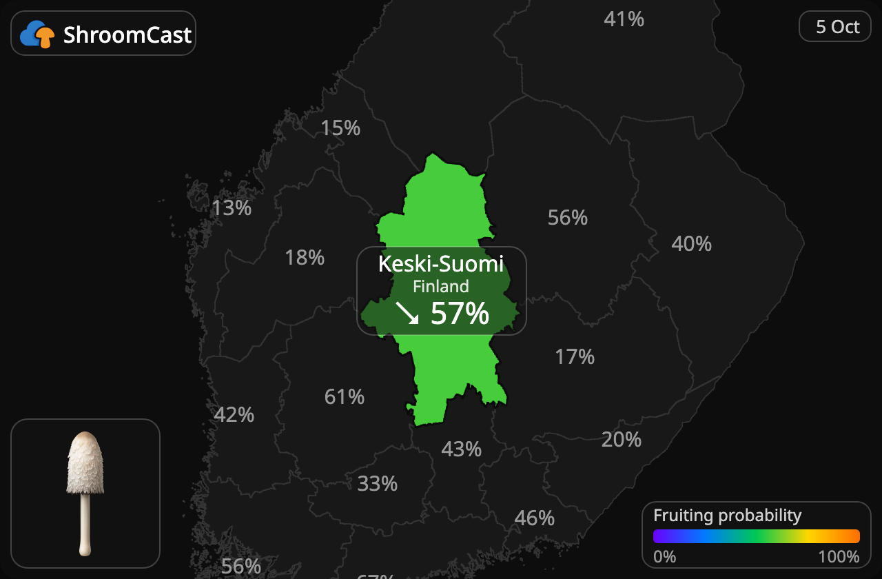 Гнойовик білий Keski-Suomi