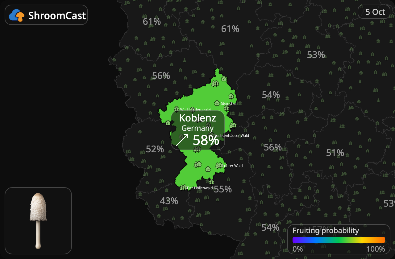 Гнойовик білий Koblenz