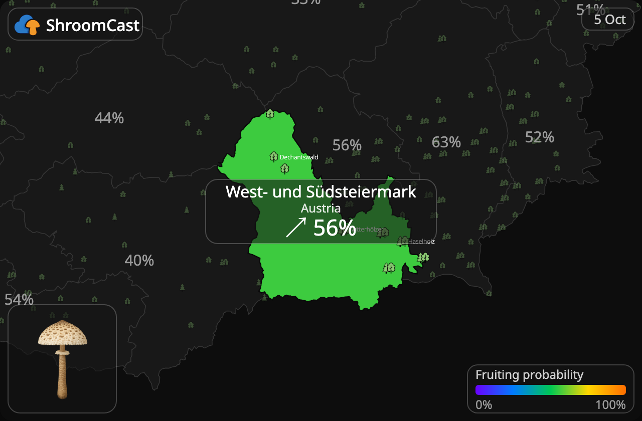 Parasolhat West- und Südsteiermark