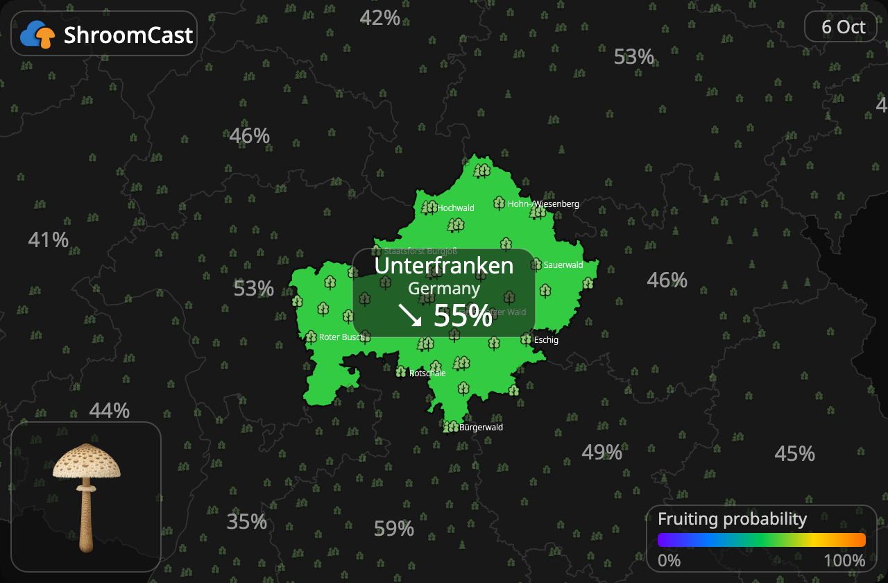 Parasolhat Unterfranken