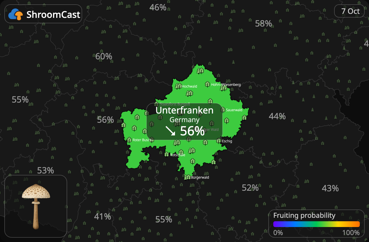 Parasol Unterfranken