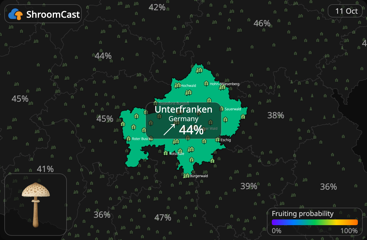 Parasol Unterfranken