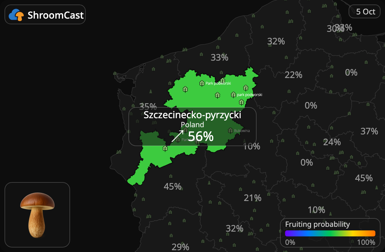 Bolet bai Szczecinecko-pyrzycki
