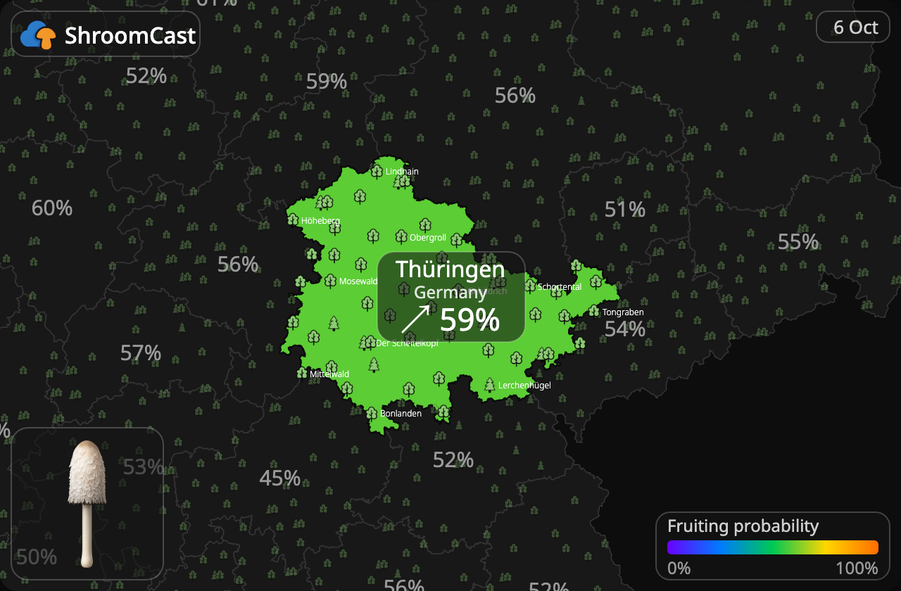 Parykblækhat Thüringen