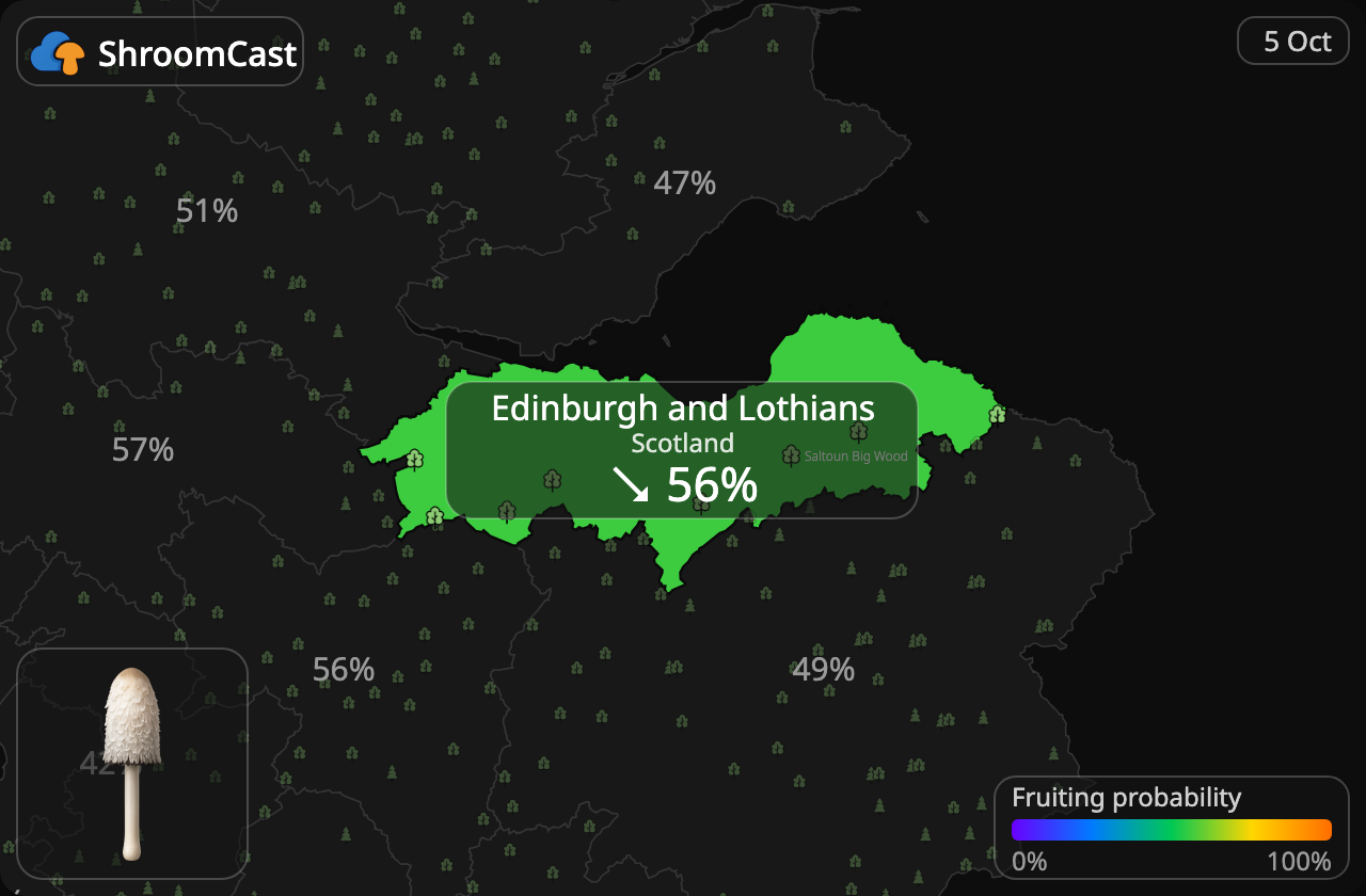 Suomumustesieni Edinburgh and Lothians