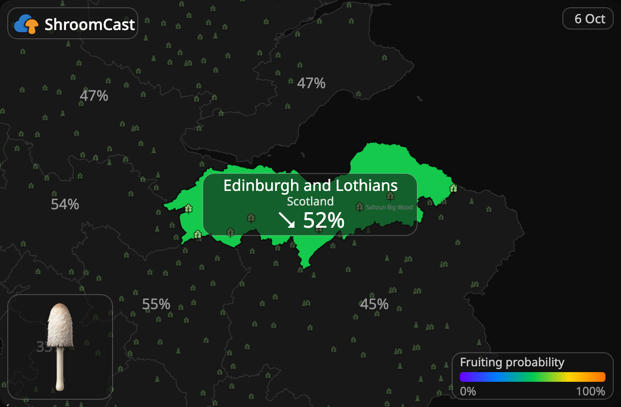 Parykblækhat Edinburgh and Lothians