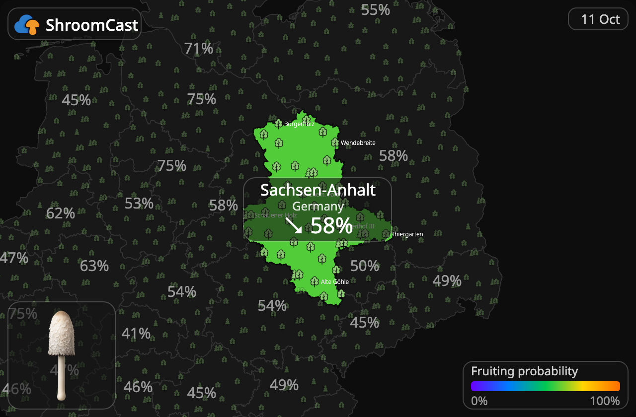 Barbuda Sachsen-Anhalt