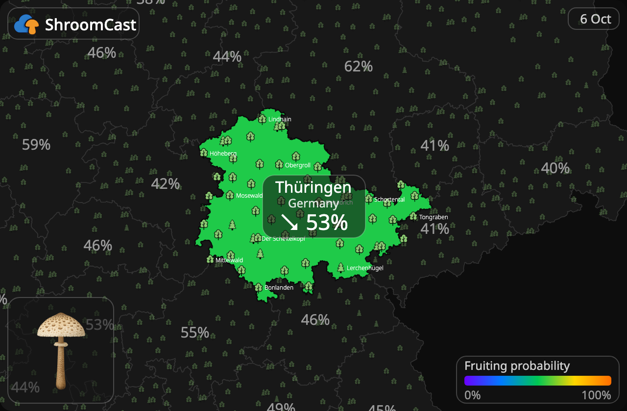 Parasolhat Thüringen