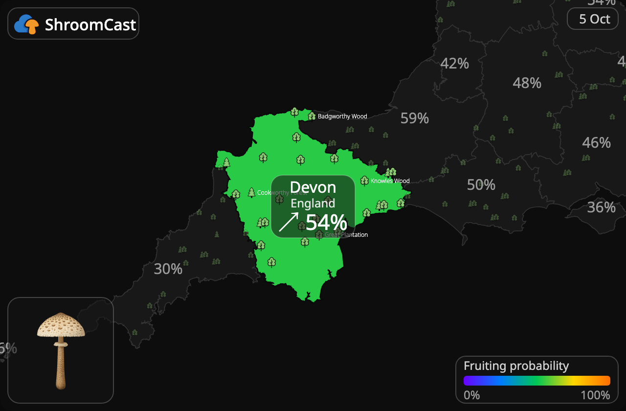 Ukonsieni Devon