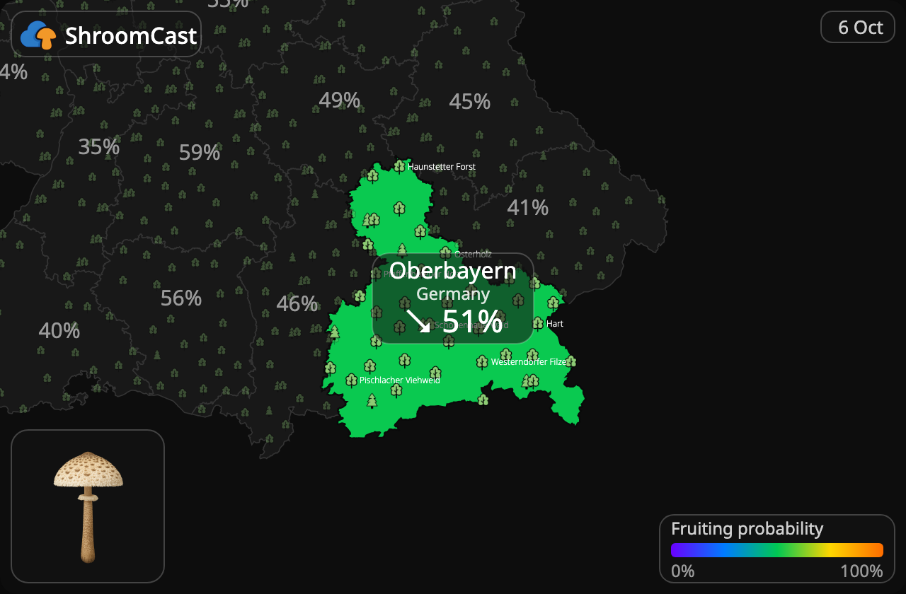 Ukonsieni Oberbayern