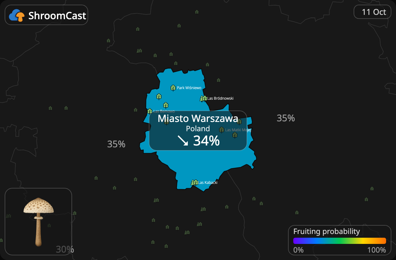 Parasol Miasto Warszawa