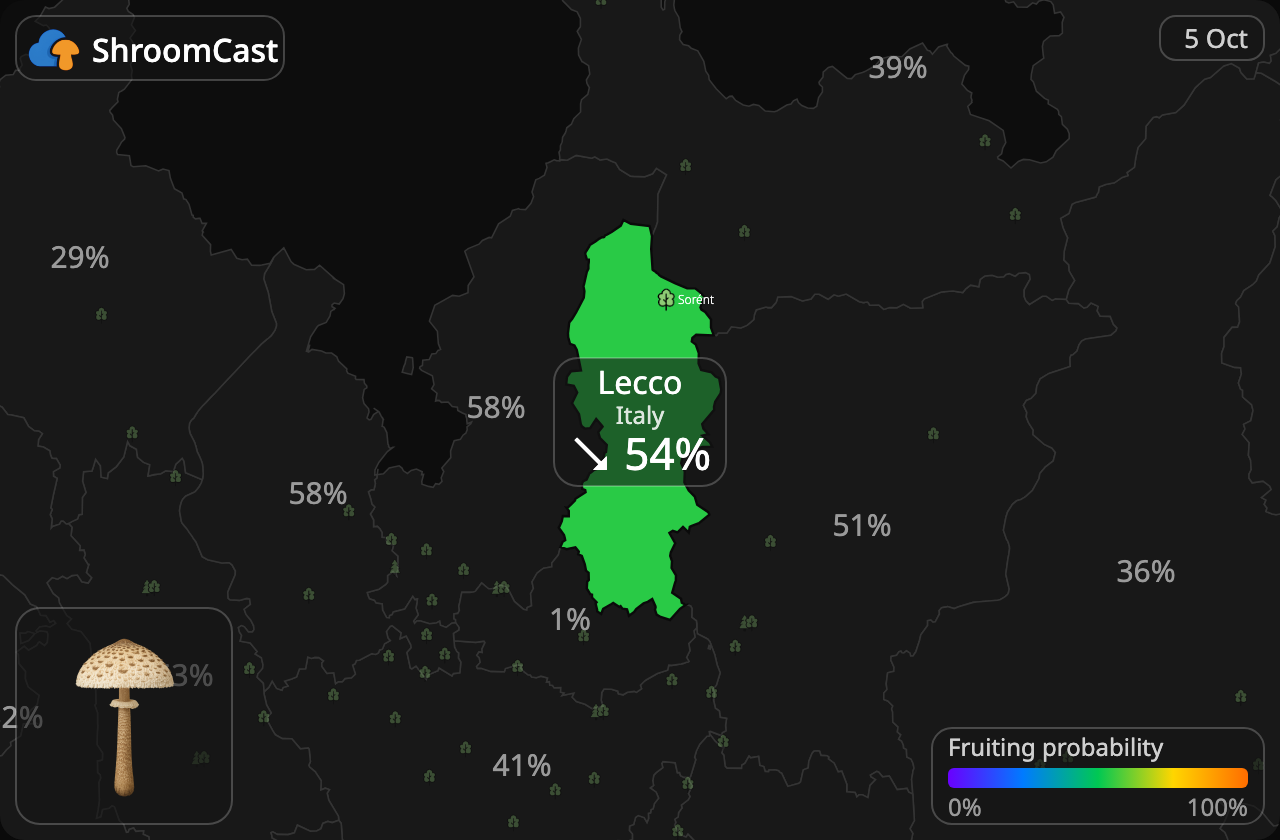 Ukonsieni Lecco
