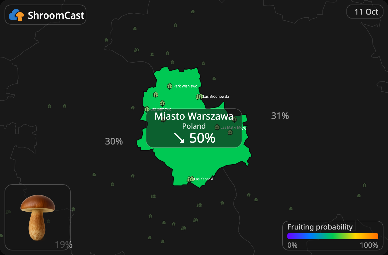 Boleto bayo Miasto Warszawa