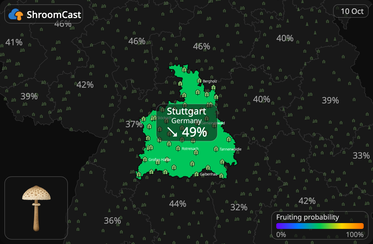Parasol Stuttgart