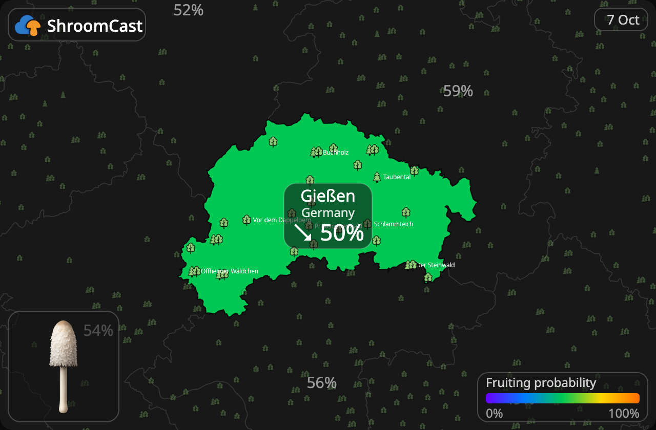 Parykblækhat Gießen
