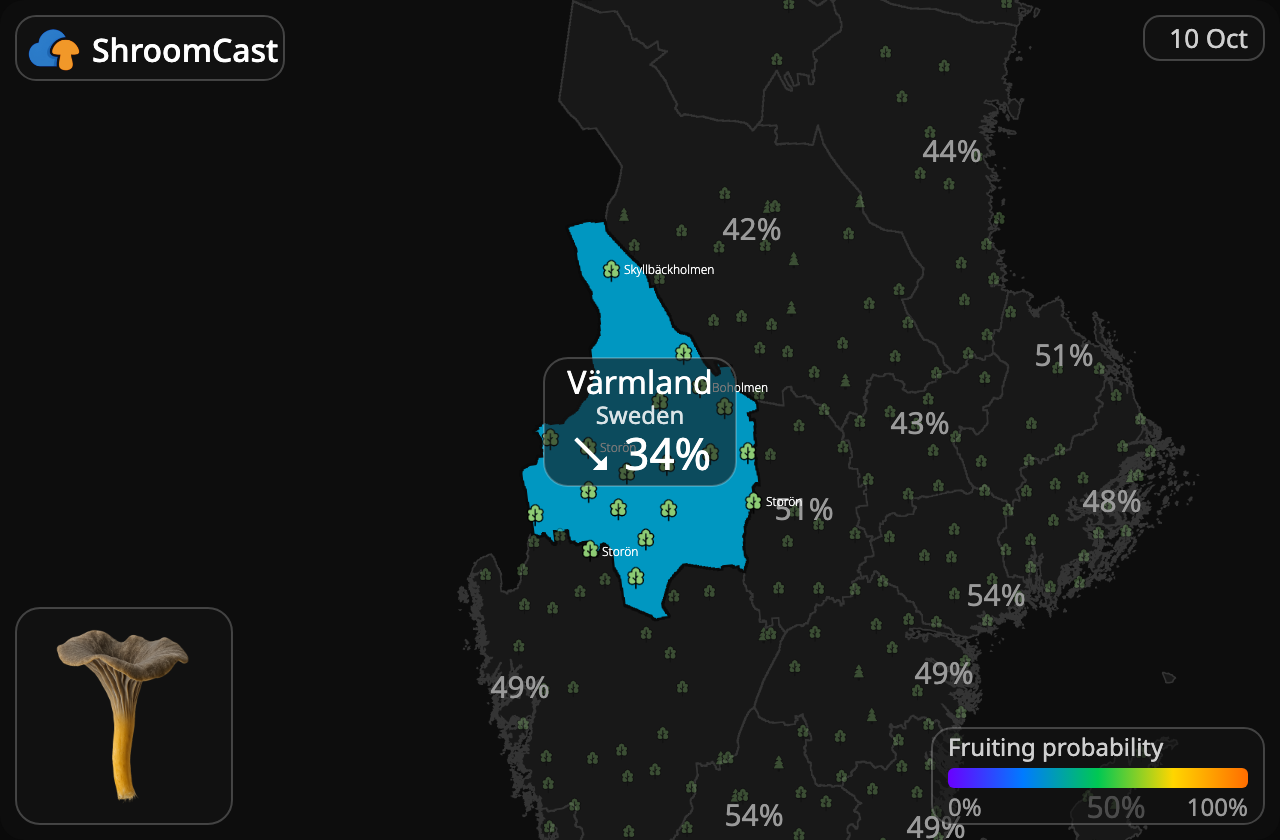 Angula de monte Värmland