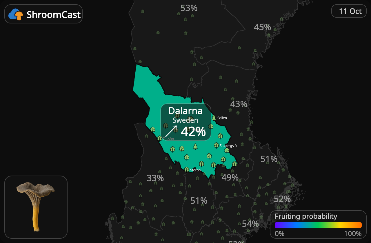 Angula de monte Dalarna