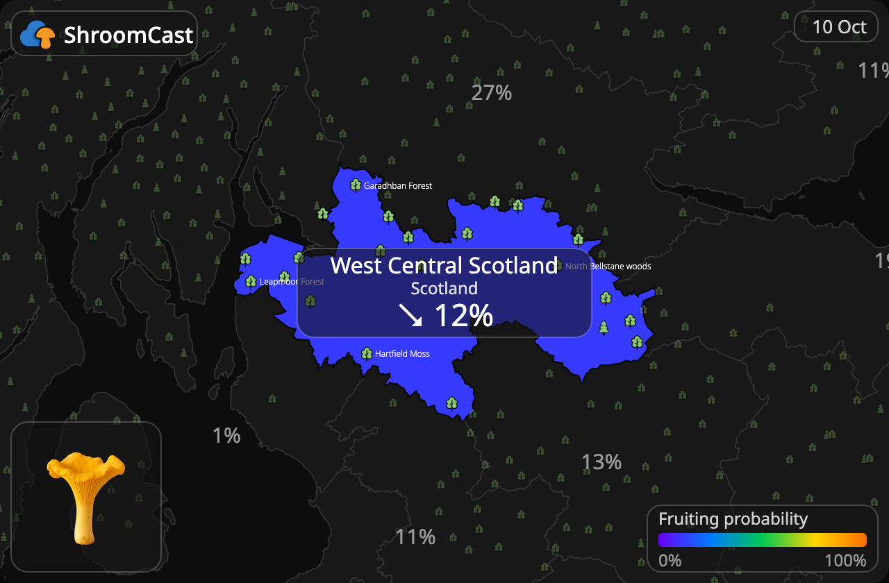 Rebozuelo West Central Scotland