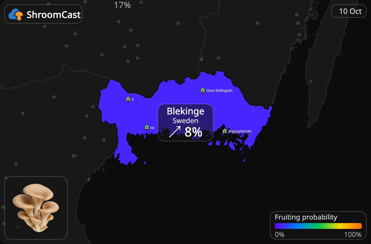 Seta de ostra Blekinge