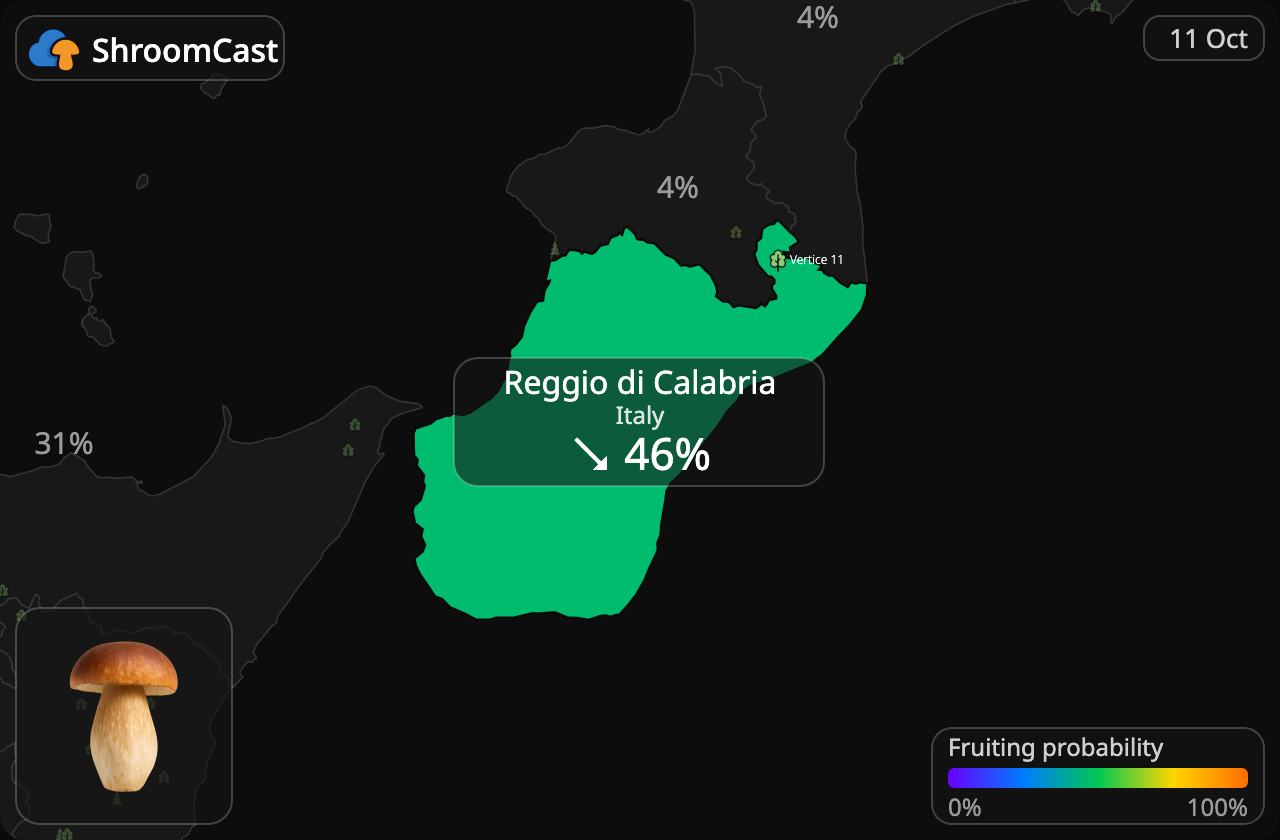 Karl Johan Reggio di Calabria