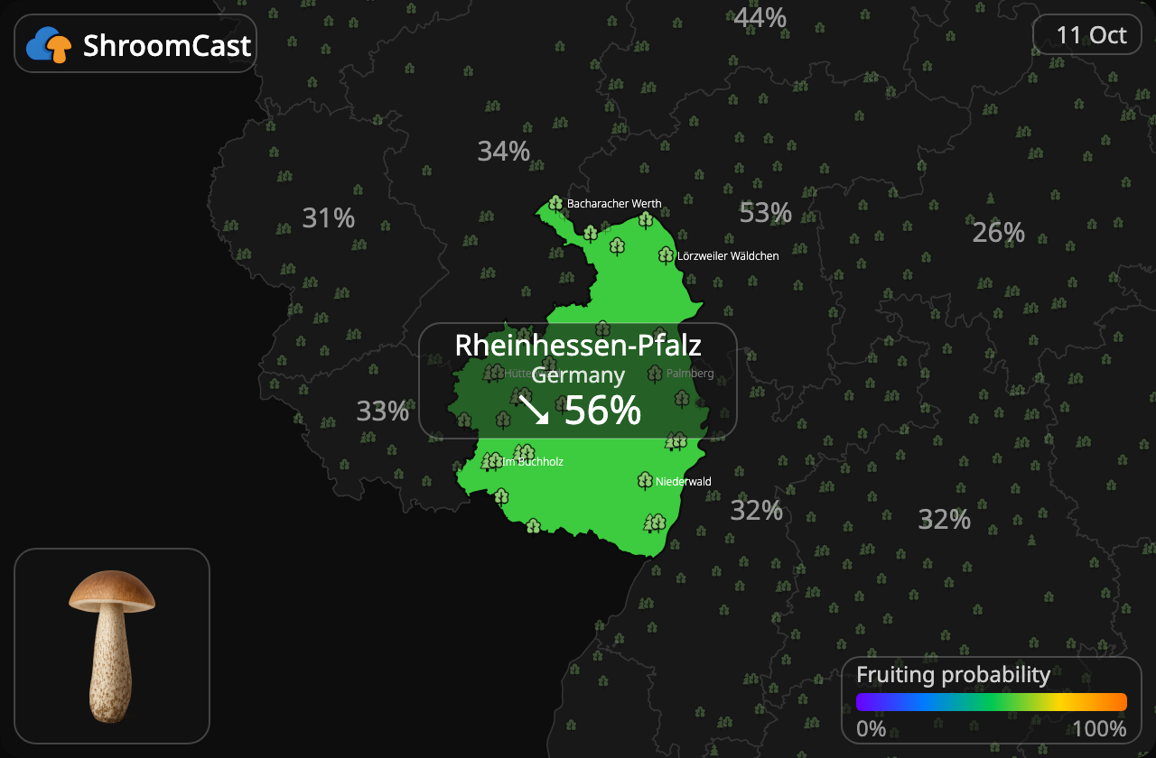 Boleto de abedul Rheinhessen-Pfalz