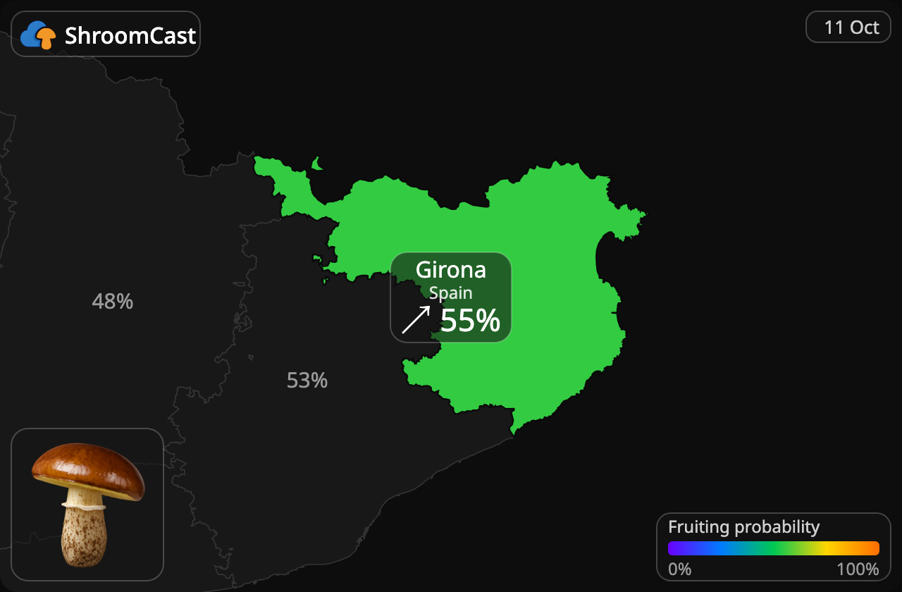 Pinarolo Girona