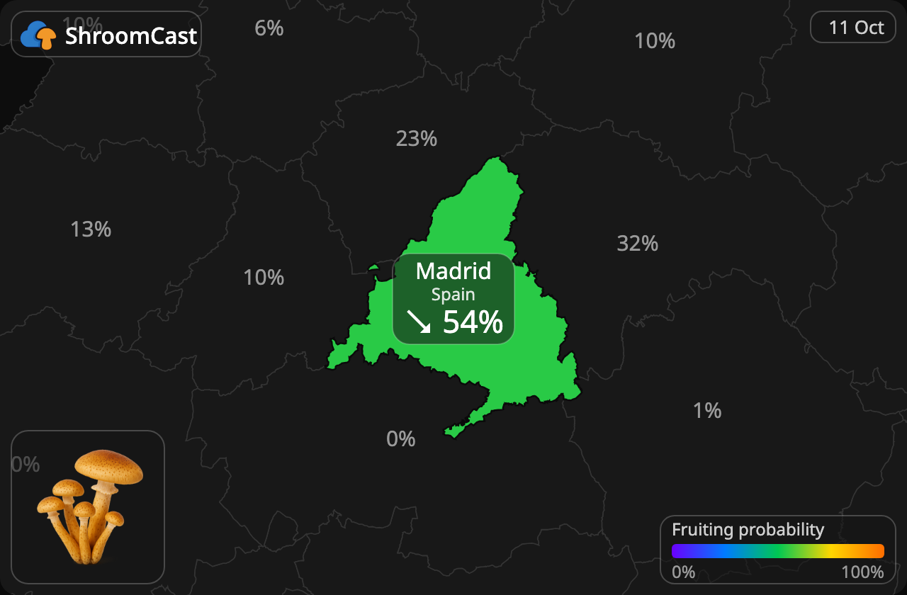 Mesisieni Madrid
