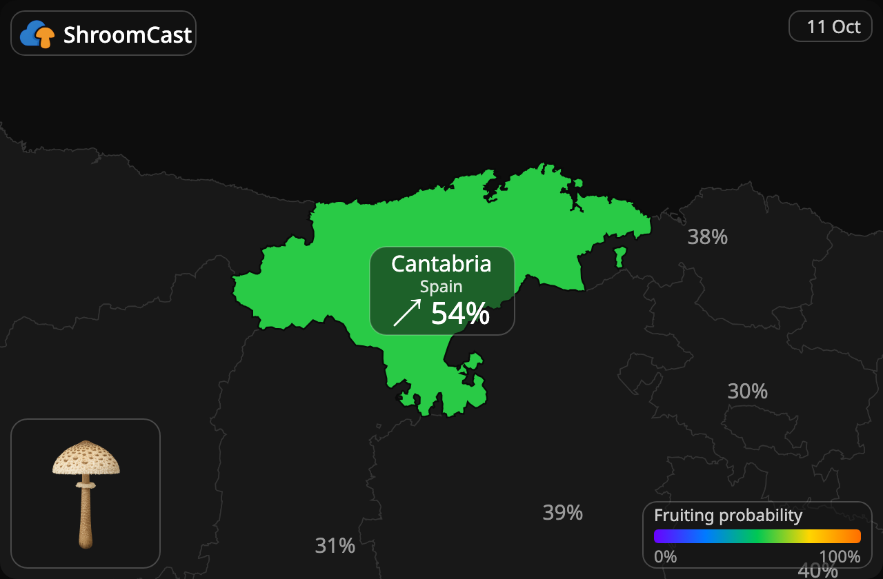 Ukonsieni Cantabria