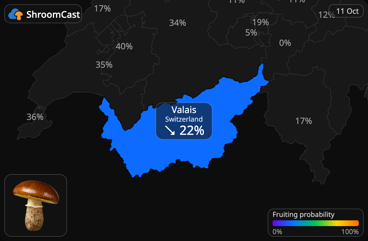 Boleto anillado Valais