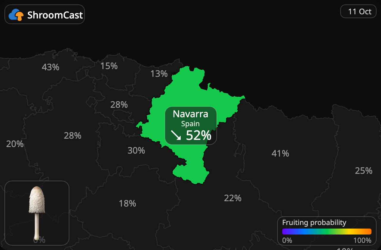 Barbuda Navarra