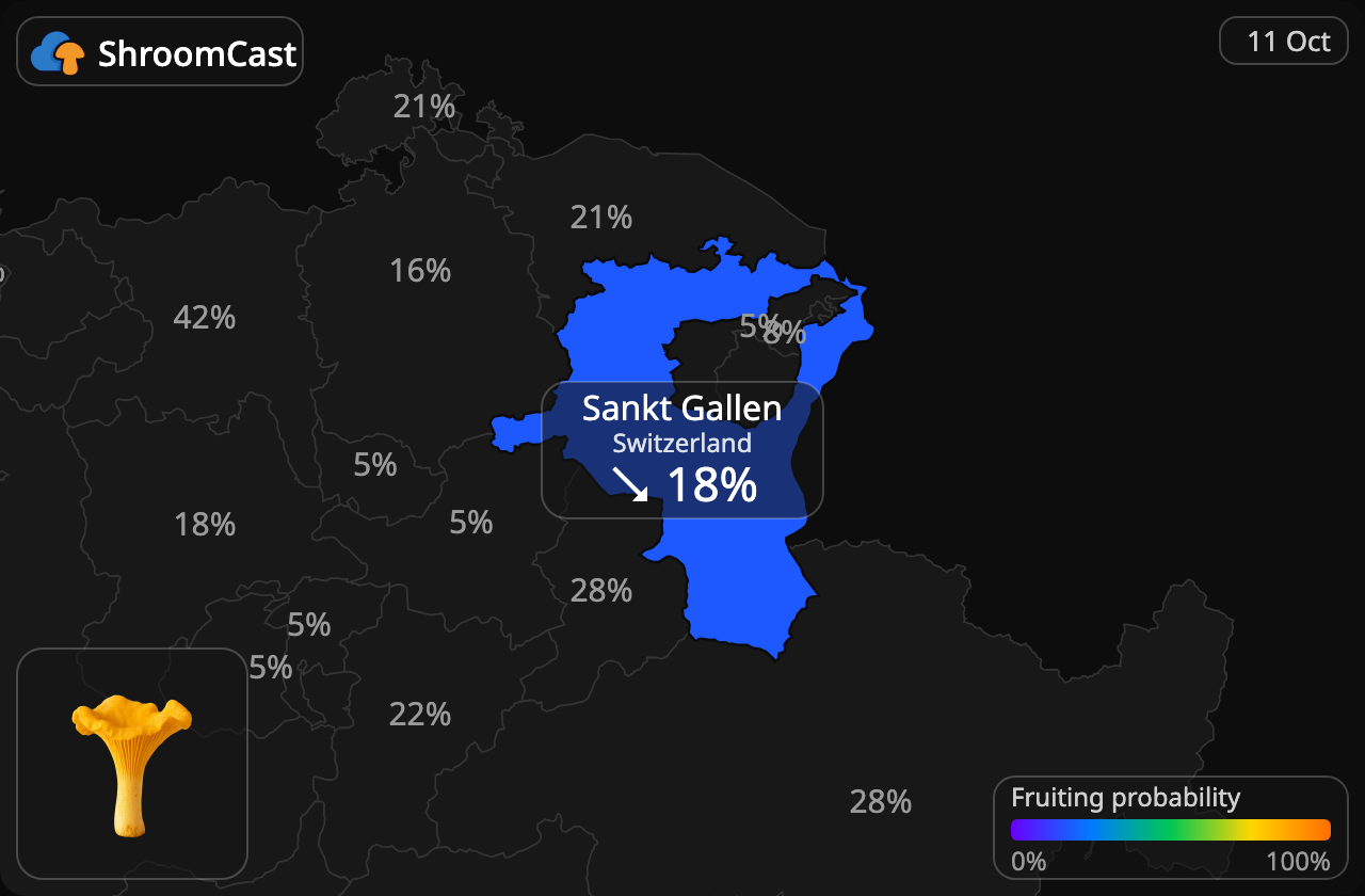Rebozuelo Sankt Gallen