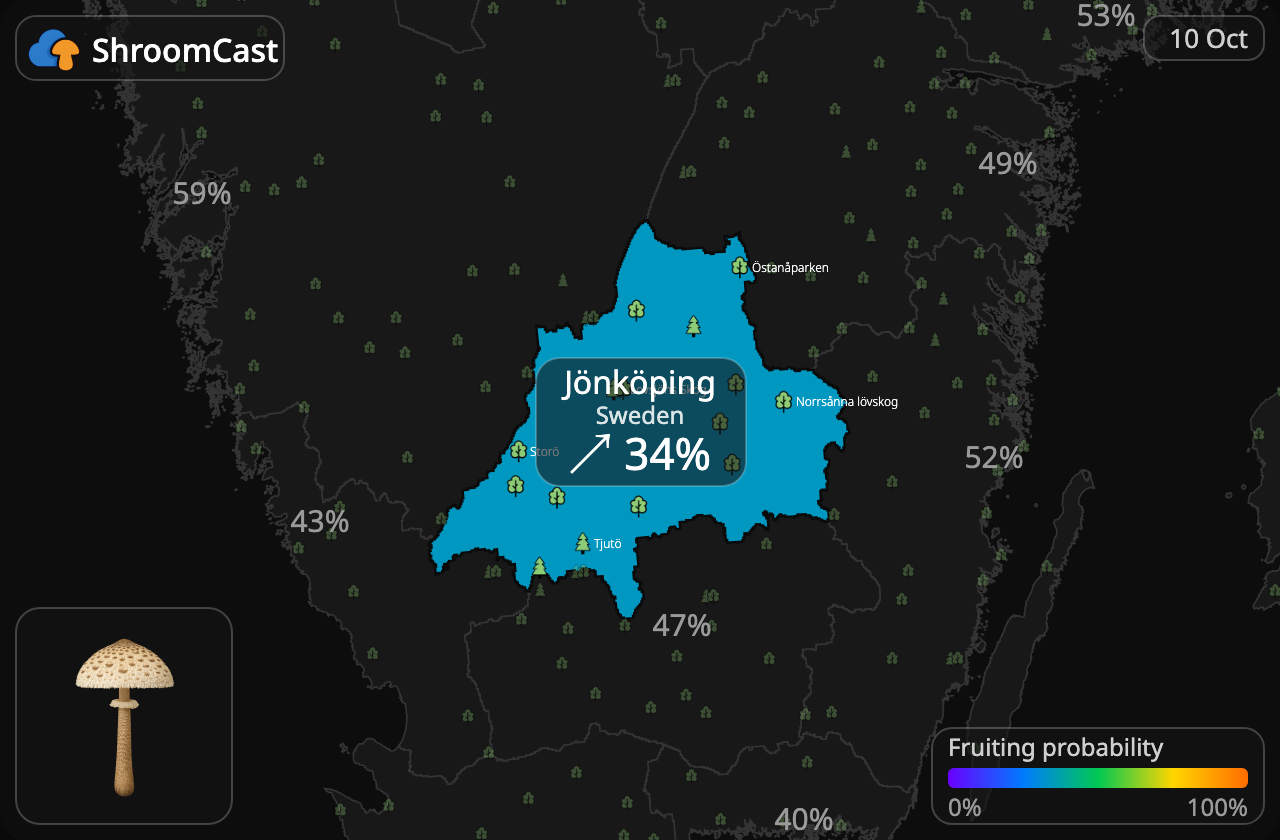Parasol Jönköping