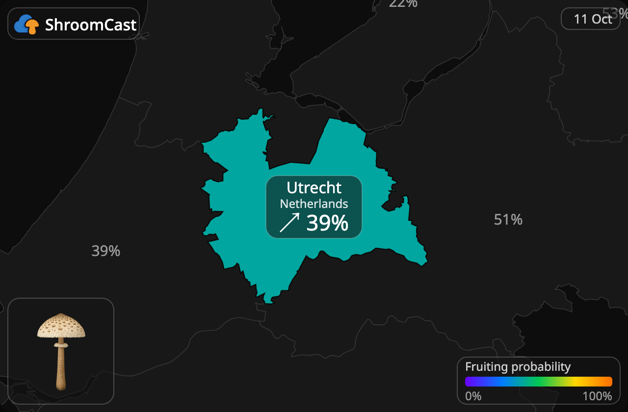 Parasol Utrecht