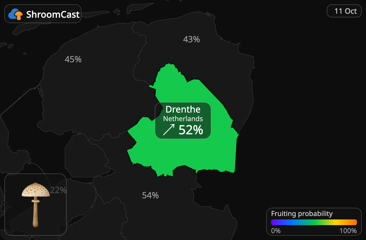 Parasol Drenthe