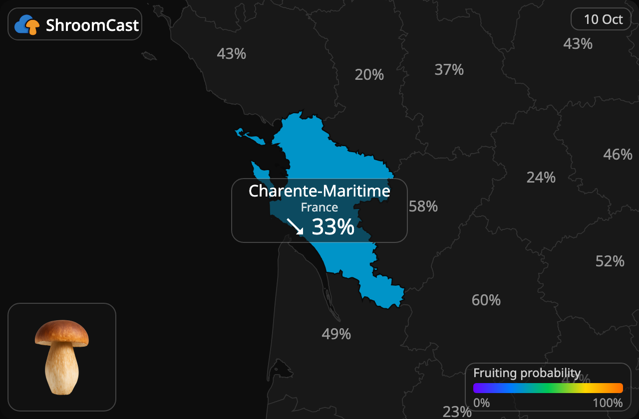 Boletus Charente-Maritime