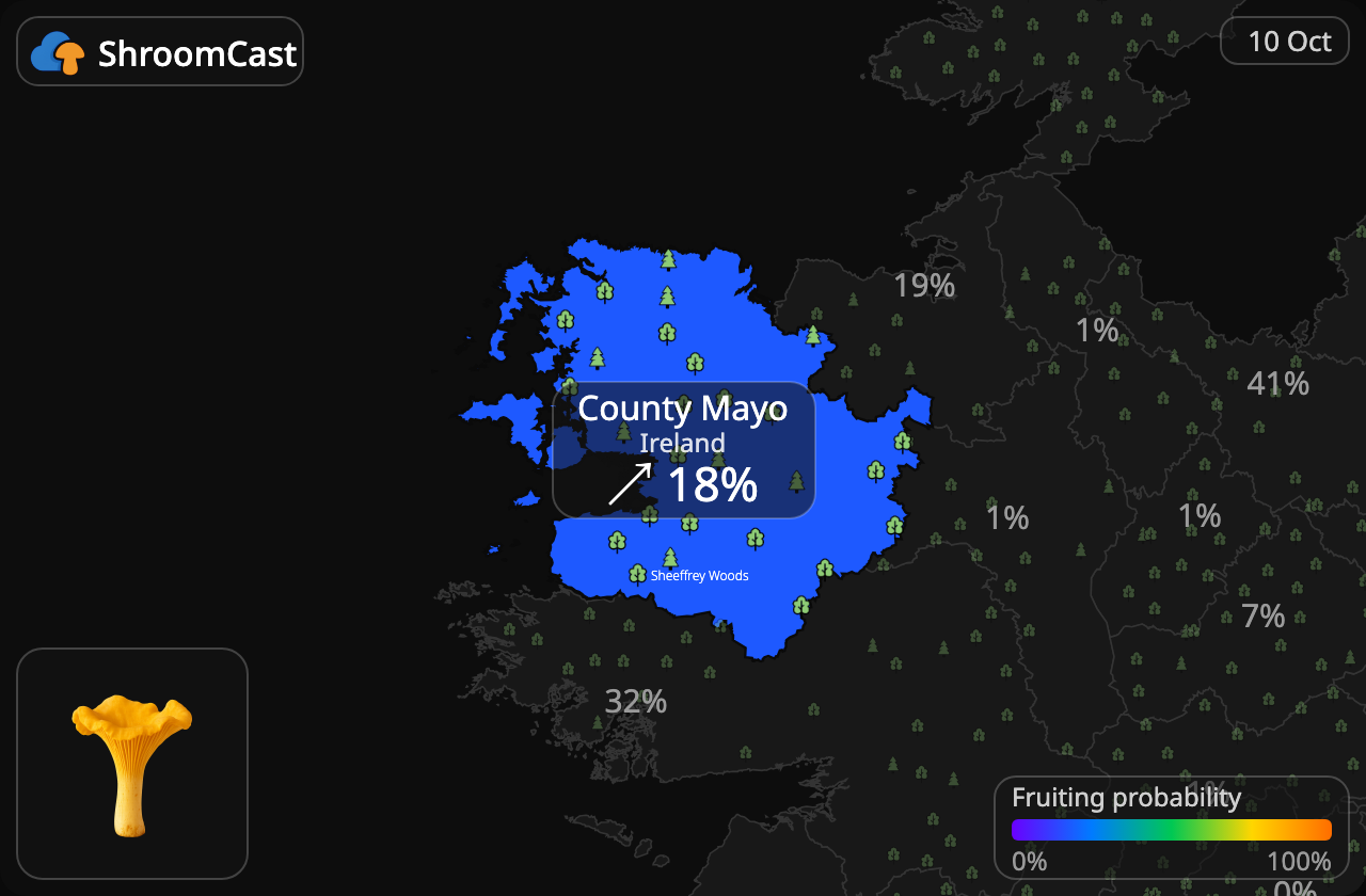 Rebozuelo County Mayo