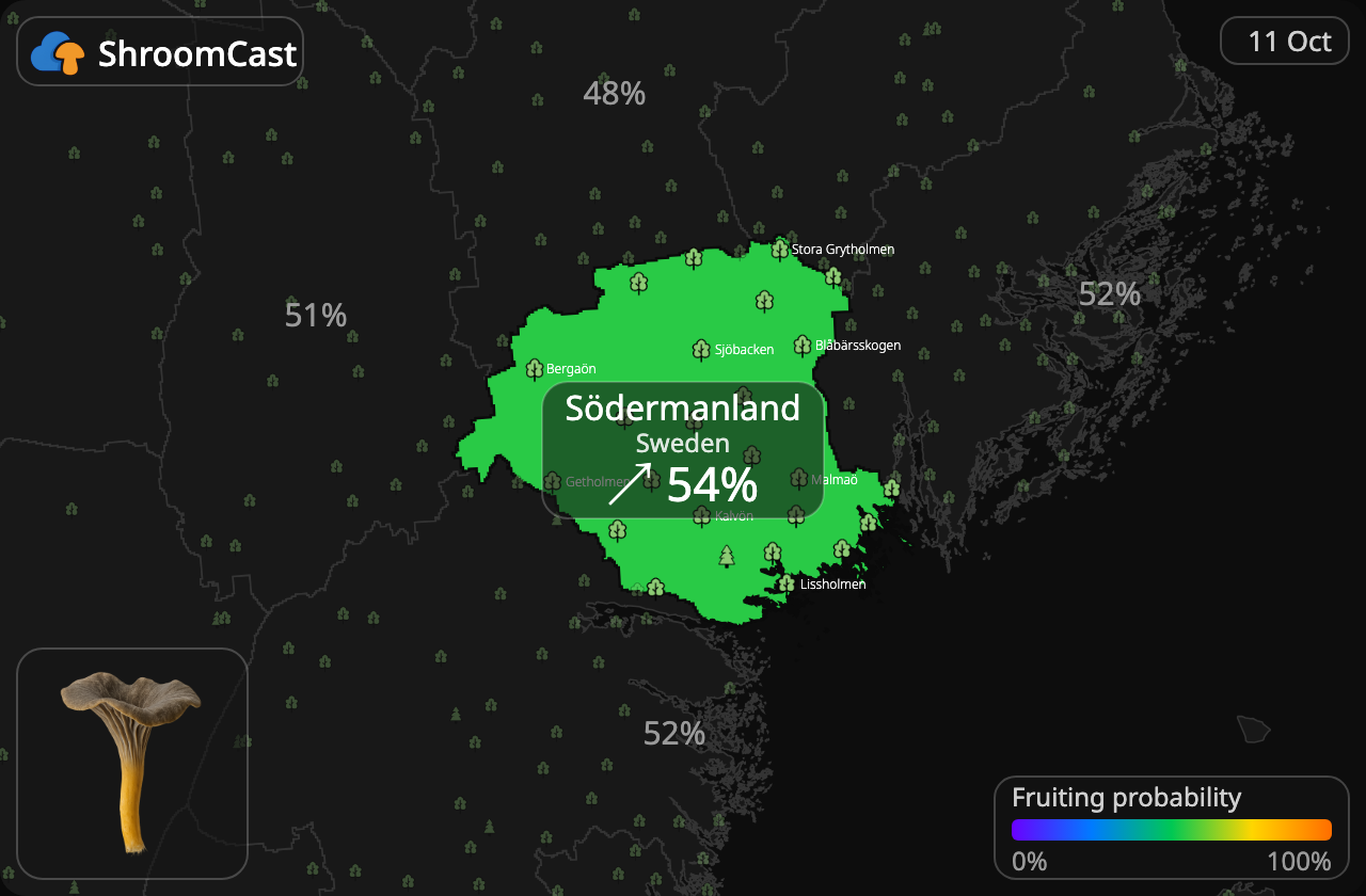 Angula de monte Södermanland
