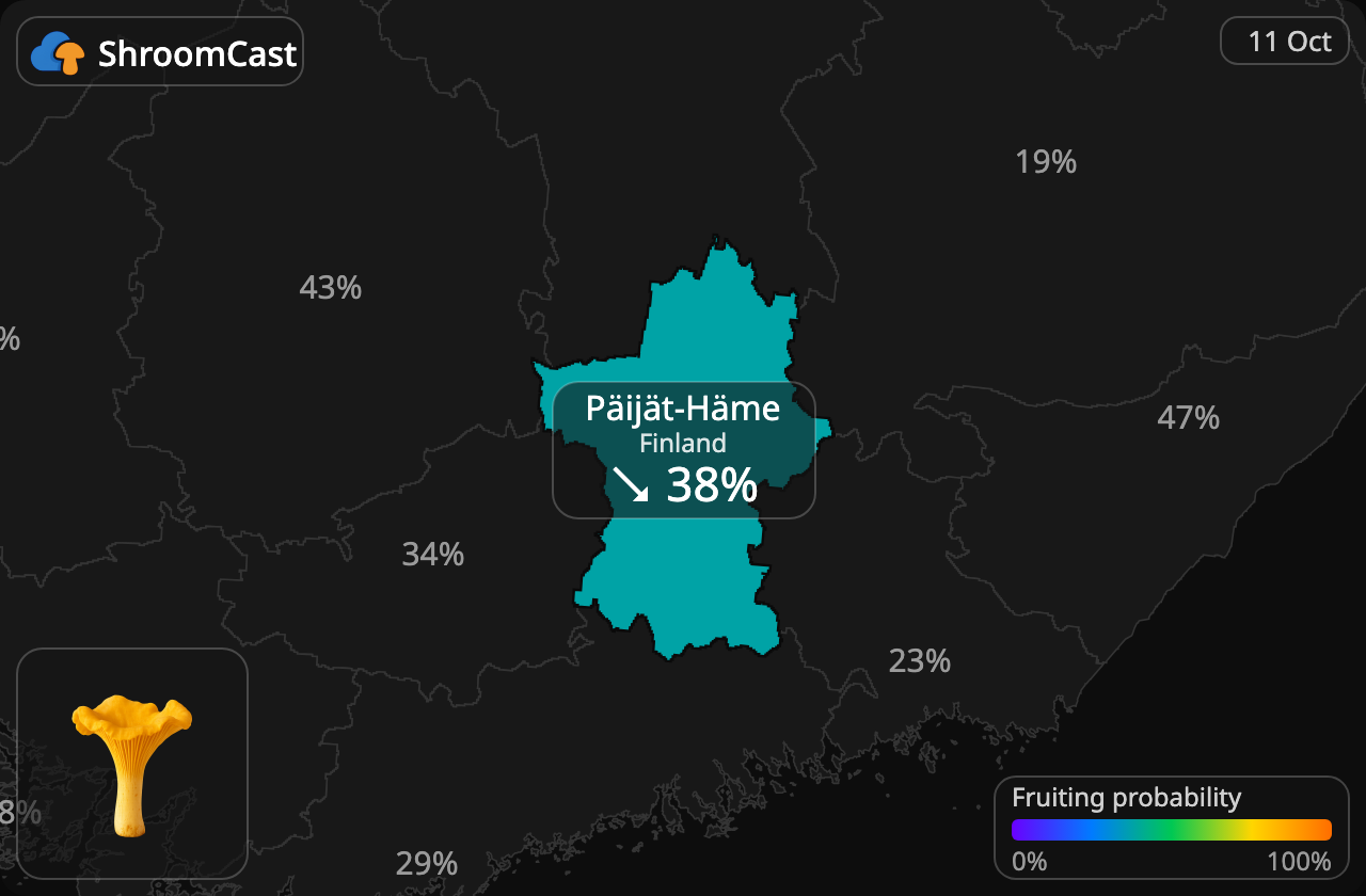 Rebozuelo Päijät-Häme