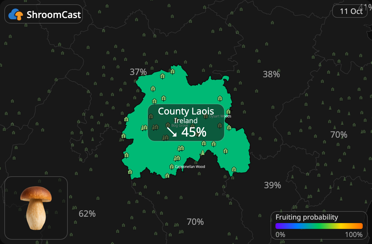 Boletus County Laois