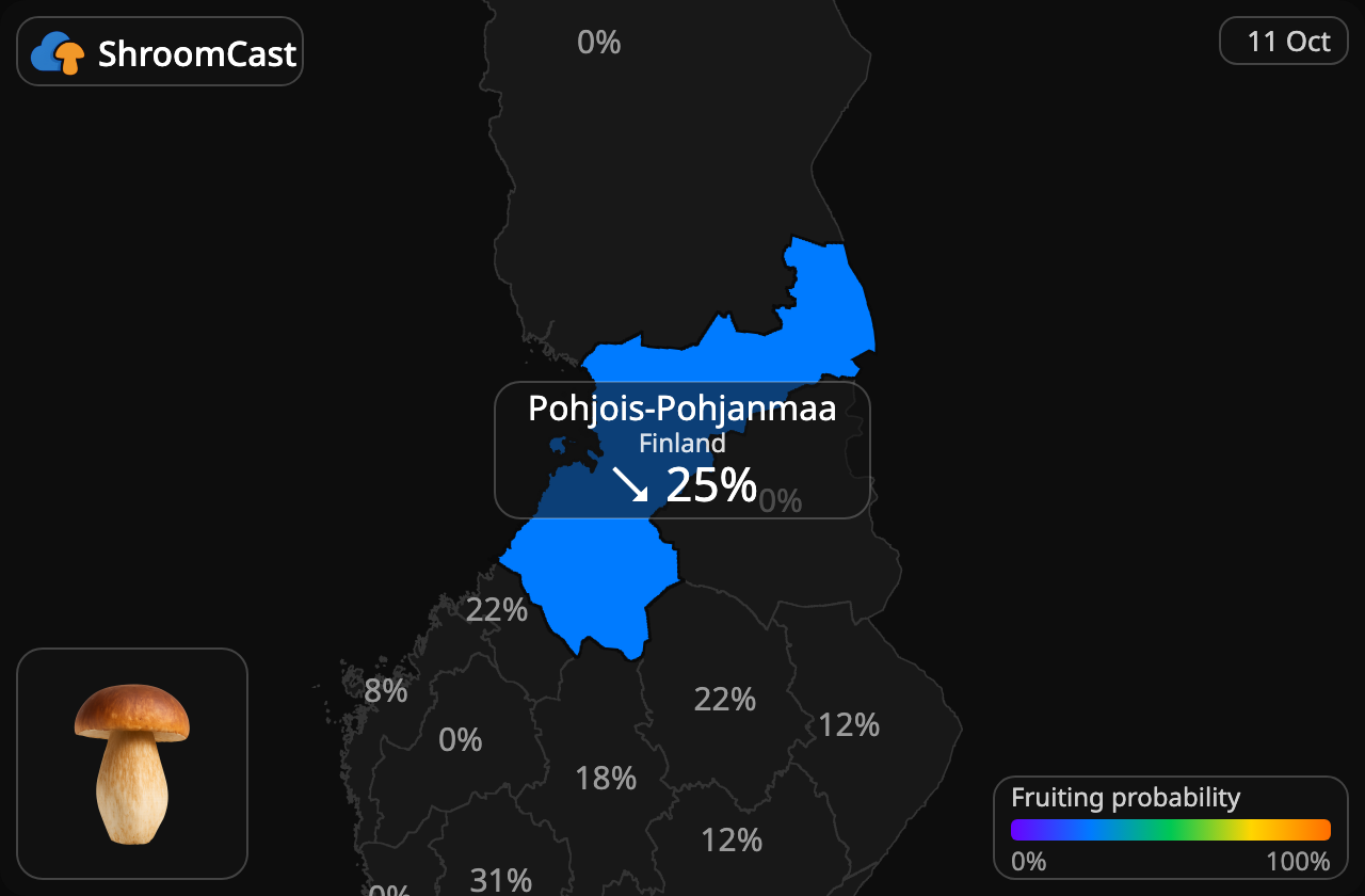 Boletus Pohjois-Pohjanmaa