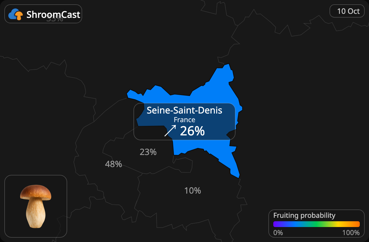 Boletus Seine-Saint-Denis