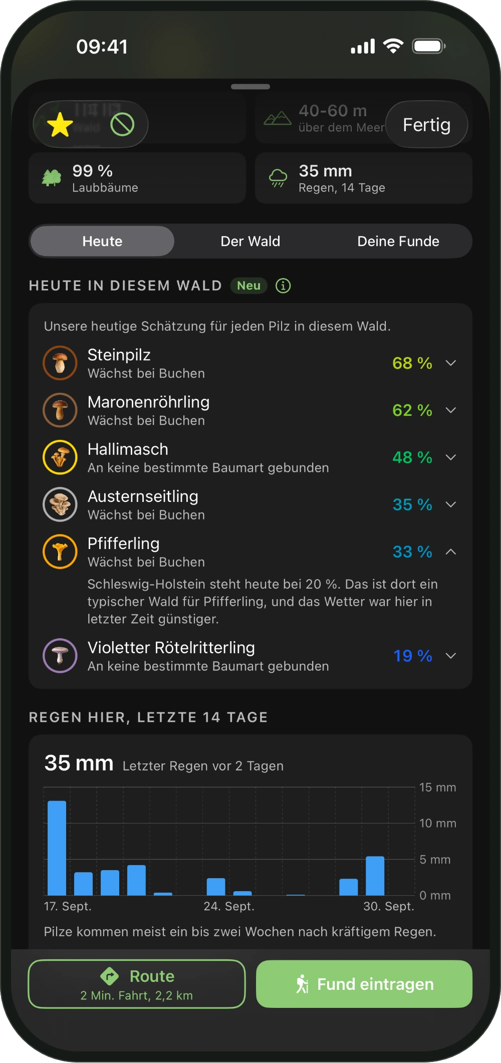 Die Karte eines Waldes